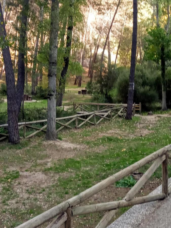 Гостьовий будинок Casa Pinos Siles Екстер'єр фото